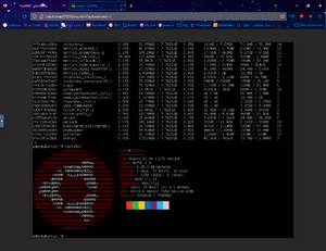 Ubuntu0.png