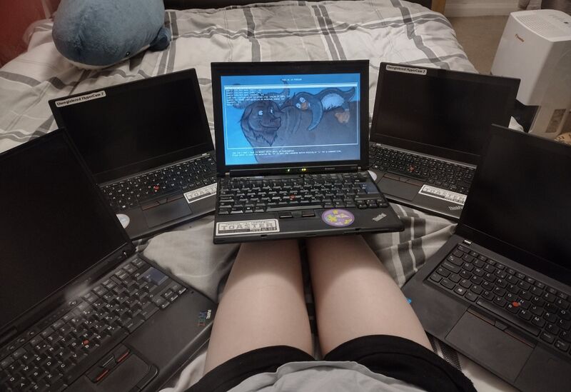 File:5thinkpads.jpg